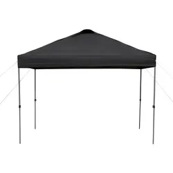 Outsunny Pavillon, Linear-Form, BxT: 300 x 300 cm - schwarz