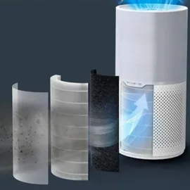 Rowenta Pure Air Compact Weiß/Grau
