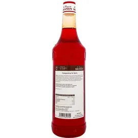 Monin Orange Spritz Sirup 1L