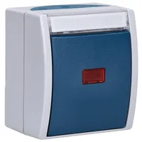 Busch-Jaeger Heiz.Notschalter AP, m.Namensschild 2601/2 SKWNH-53