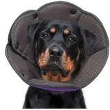 Halskrause für Hund, Halskrause Katze, Schutzkragen Hund, Atmungsaktiver Hundehalskragen FüR Kleine, Mittlere Und GroßE Hunde, Verstellbarer Hunde-Erholungskragen Nach Der Operation - Lila L