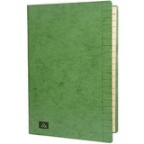RNK RNKVERLAG 4618-5 - Konferenz- und Ordnungsmappe mit Gummizug, Maße (BxH) 245 x 345 mm, bis DIN A4, 20 Fächer, grün, 1 Stück
