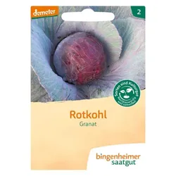 Bingenheimer Saatgut Rotkohl Granat demeter