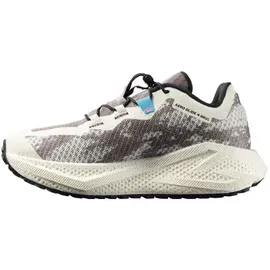 Salomon Aero Glide 4 GRVL Herren Vanilla Ice/Black 36