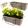 GarPet Balkonkasten 2er Set 60 cm schwarz