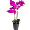 Kunstorchidee »Orchidee Bora«, pink