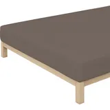 schlafgut Premium Baumwolle 140 x 200 - 160 x 220 cm sand deep