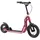 Star Scooter Roller 10/12 Zoll Mixed beere