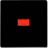 Busch-Jaeger Wippe braun