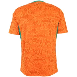 Puma Elfenbeinküste Heimtrikot (Replica) 2026 Herren Gr. 3XL