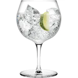 Vintage Gin und Tonic-Gläser 2 St.