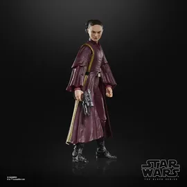 Hasbro Padmé Amidala Action-Figur 15 cm