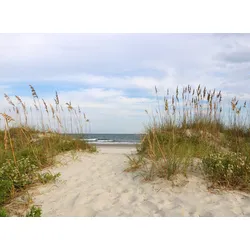 Fototapete PAPERMOON "Dunes Huntington Beach", bunt (mehrfarbig), B:3m L:2,23m, Vlies, Tapeten