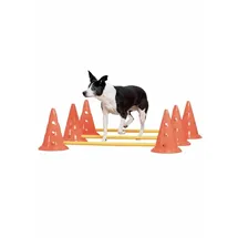 Pawise Agility Training Set 30 cm