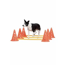 Pawise Agility Training Set 30 cm