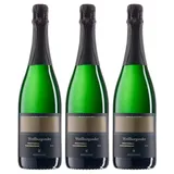 Saale-Unstrut Weißburgunder Sekt Brut