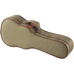 Ibanez FS40UC Tweed