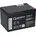 12LCP-12 12V 13000 mAh 1 St