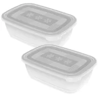 Rotho Freeze Gefrierdosen 1,9 l Transparent