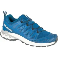 Salomon XA Pro 3D V9 Herren Poseidon / Icicle