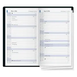 Brunnen Taschenkalender 748 A6 sortiert