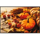 Wash+Dry Pumpkin Glow 50 x 75 cm Orange