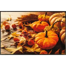 Wash+Dry Pumpkin Glow 50 x 75 cm Orange