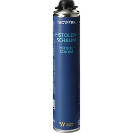 tecwerk 1K-Pistolenschaum 750 ml