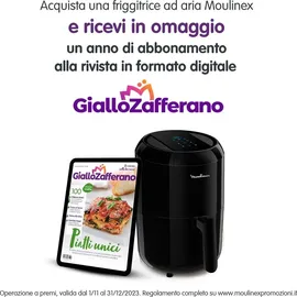 Moulinex Easy Fry EZ3018