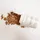 BEAUVITAL Pure Bio Polyporus Kapseln 120 St.