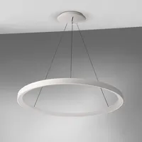 Deko-Light Merope Pendelleuchte LED 342197,
