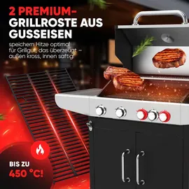 Proficook Gasgrill PC-GG 1312