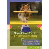 Cadmos Verlag GmbH Neue Ideen für das Cavalettitraining