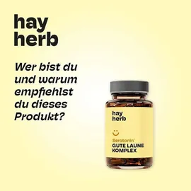 hay herb Gute Laune Kapseln 60 St.