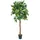 Europalms Zitronenbaum, 180cm