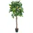 Europalms Zitronenbaum, 180cm