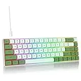 SOLIDEE mechanische Gaming Tastatur 65 Prozent,68 Tasten kompakte mechanische Tastatur RGB Hintergrundbeleuchtung,65 Prozent Tastatur mechanisch QWERTY,Roter Schalter für Win/Mac PC Laptop(68 Matcha)