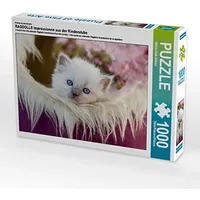 Calvendo Ein Motiv aus dem Kalender RAGDOLLS Impressionen aus