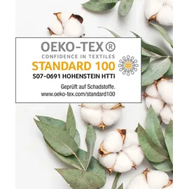 Julius Zöllner Basic,