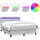 vidaXL Boxspringbett 160 x 220 cm Hellgrau