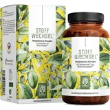 NATURTREU Stoffwechsel Kapseln 120 St.