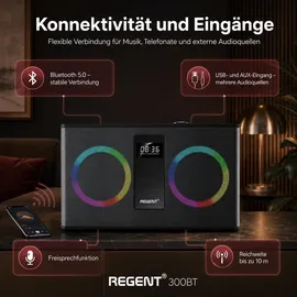 Ferguson Regent 300BT schwarz