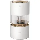 Xiaomi Rainforest Humidifier Luftbefeuchter