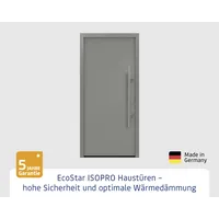 EcoStar Haustür ISOPRO IP 010 graualuminium 110 x 210 cm