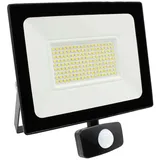 Megatron Ispot XL LED Außenstrahler MT68033