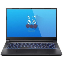 ONE GAMING ONE GAMING Laptop Commander V150RNE - Gaming Laptop Gaming-Notebook (Intel Core i9 Serie 13. Generation Core i9-13900H, GeForce RTX 4000)