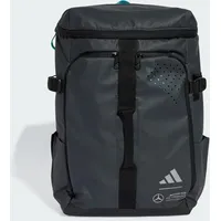 Adidas Mercedes - AMG Petronas Formula One Team Hybrid