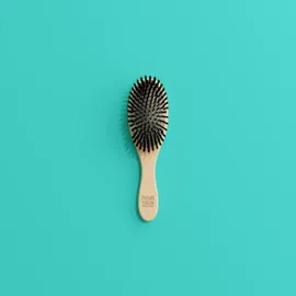 Marlies Möller Brushes Professional Shine Travel Allround Hair Brush