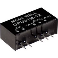 MeanWell Mean Well DPU01L-05 DC/DC-Wandlermodul 100mA 1W Anzahl Ausgänge: