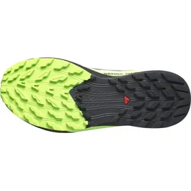 Salomon Sense Ride Herren Flint Stone/Black/Green Gecko 42
